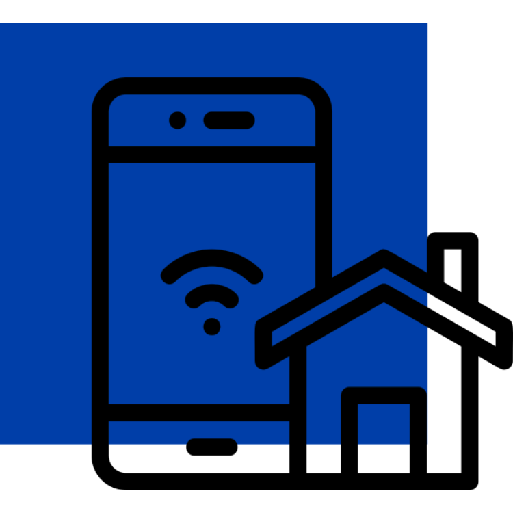 Access Point & Phones